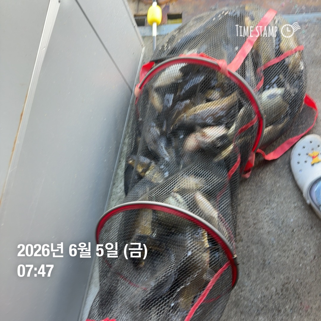 KakaoTalk_20260609_070214299_10.jpg