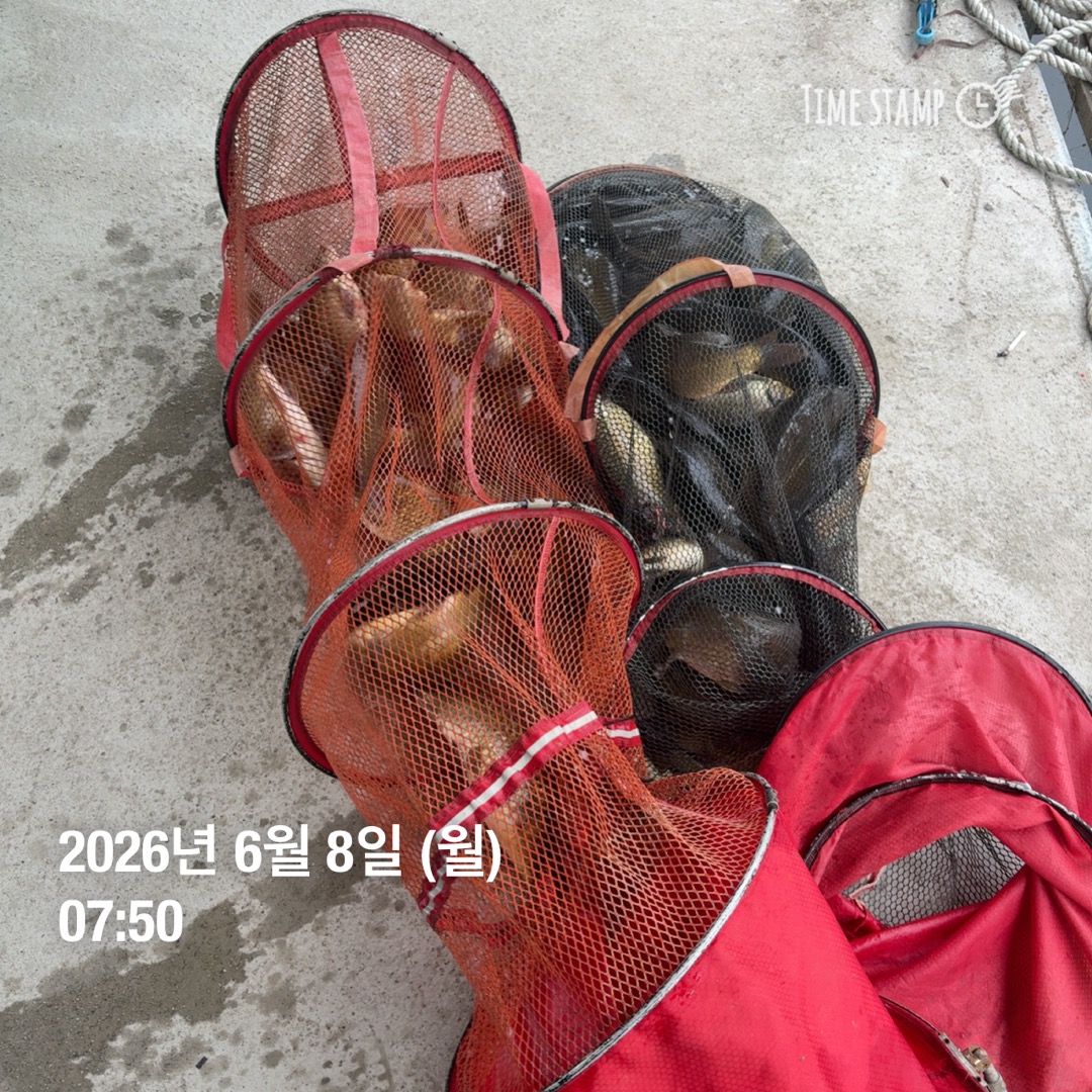 KakaoTalk_20260609_070214299_03.jpg