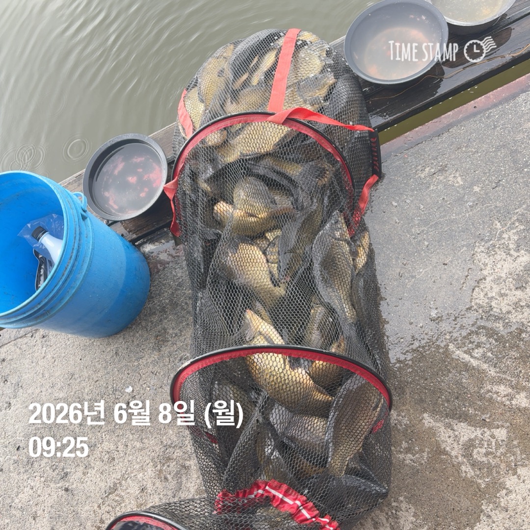 KakaoTalk_20260609_070214299_01.jpg