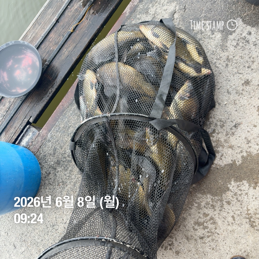 KakaoTalk_20260609_070214299_02.jpg