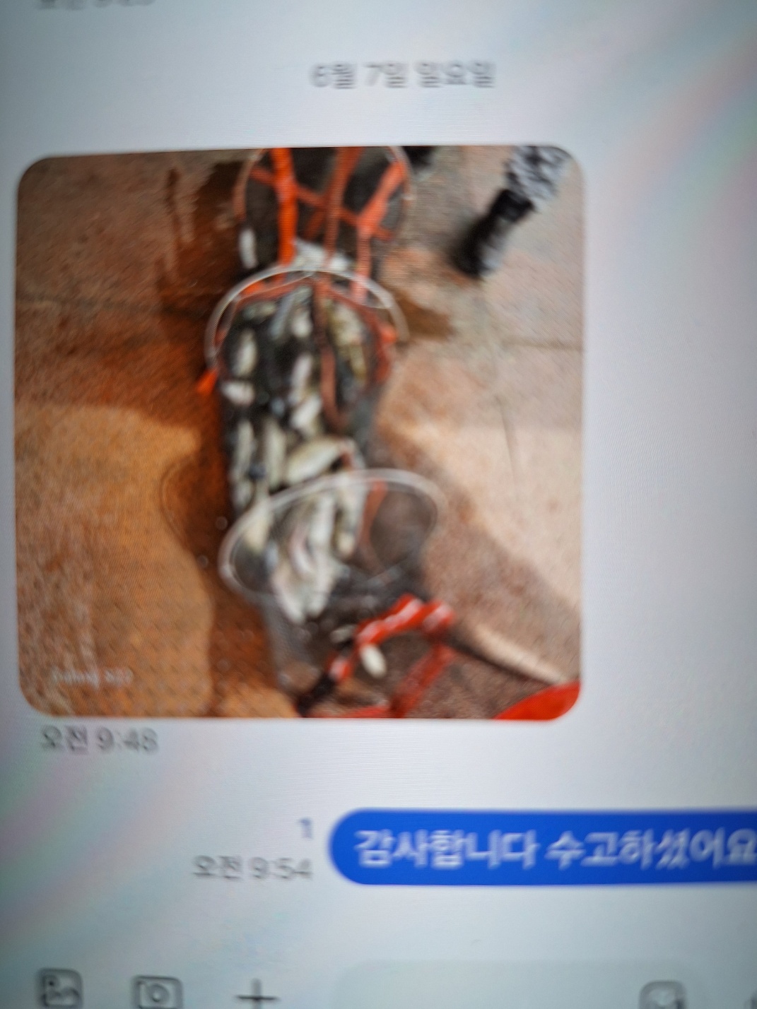 KakaoTalk_20260607_095547051.jpg