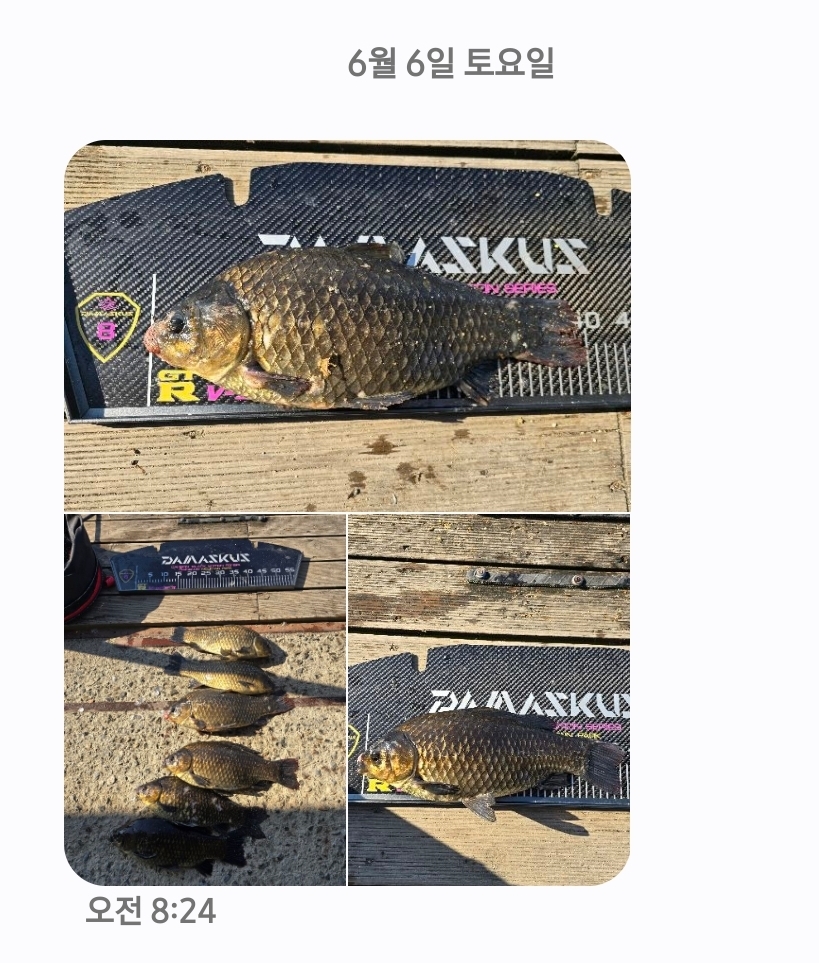Screenshot_20260606_083450_Messages.jpg