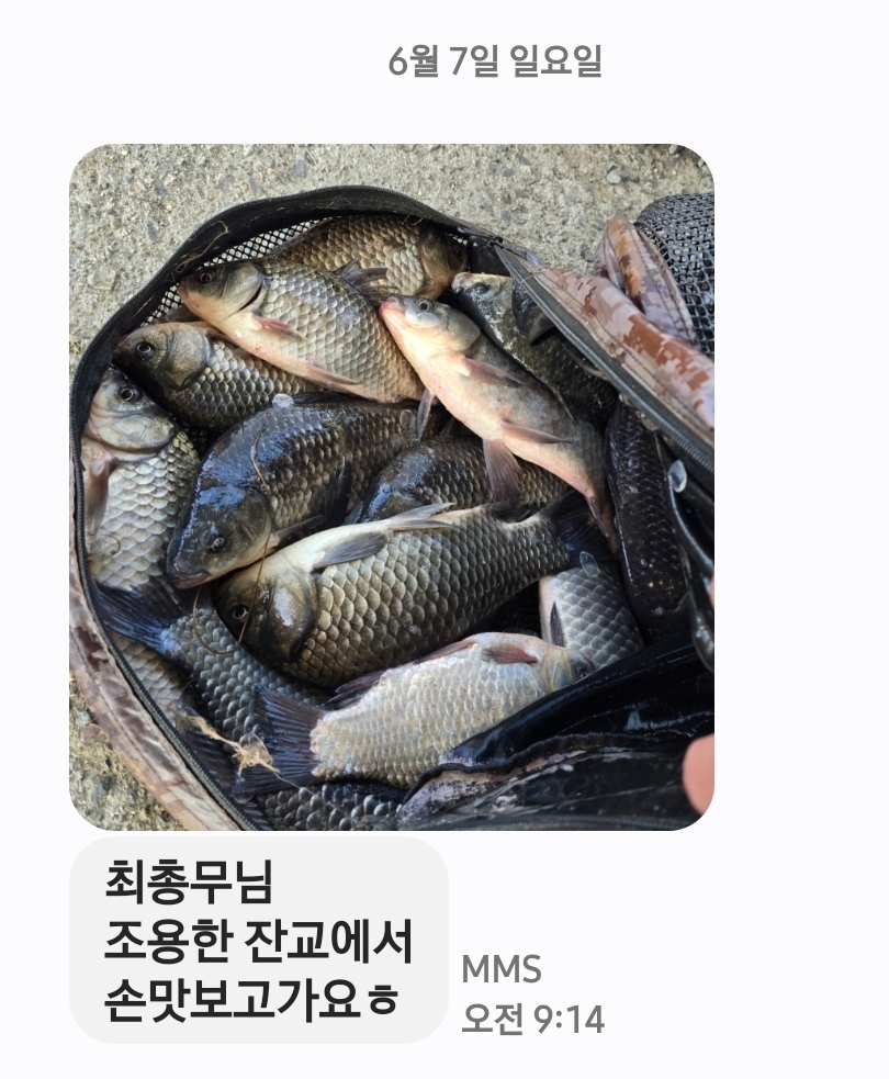 Screenshot_20260607_091508_Messages.jpg
