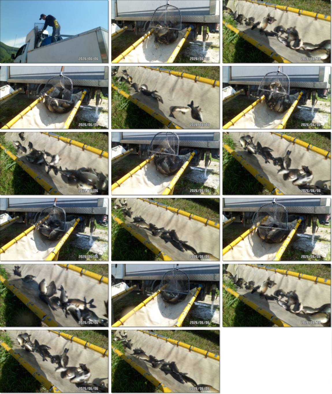 SAM_5505-tile.jpg