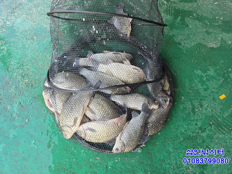 1781131164142.jpg