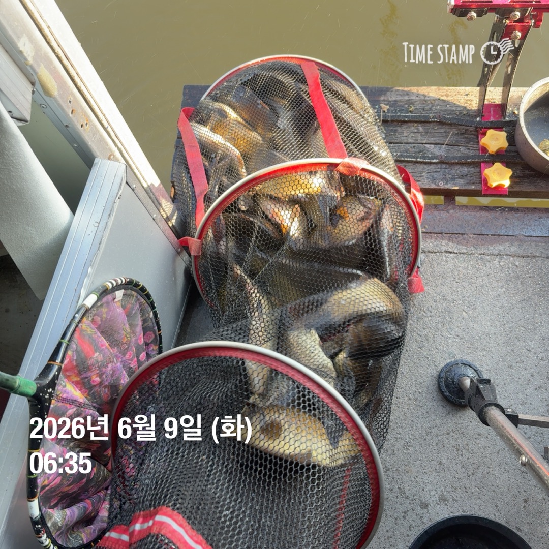 KakaoTalk_20260611_082447009_13.jpg