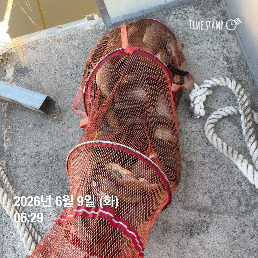 KakaoTalk_20260611_082447009_09.jpg