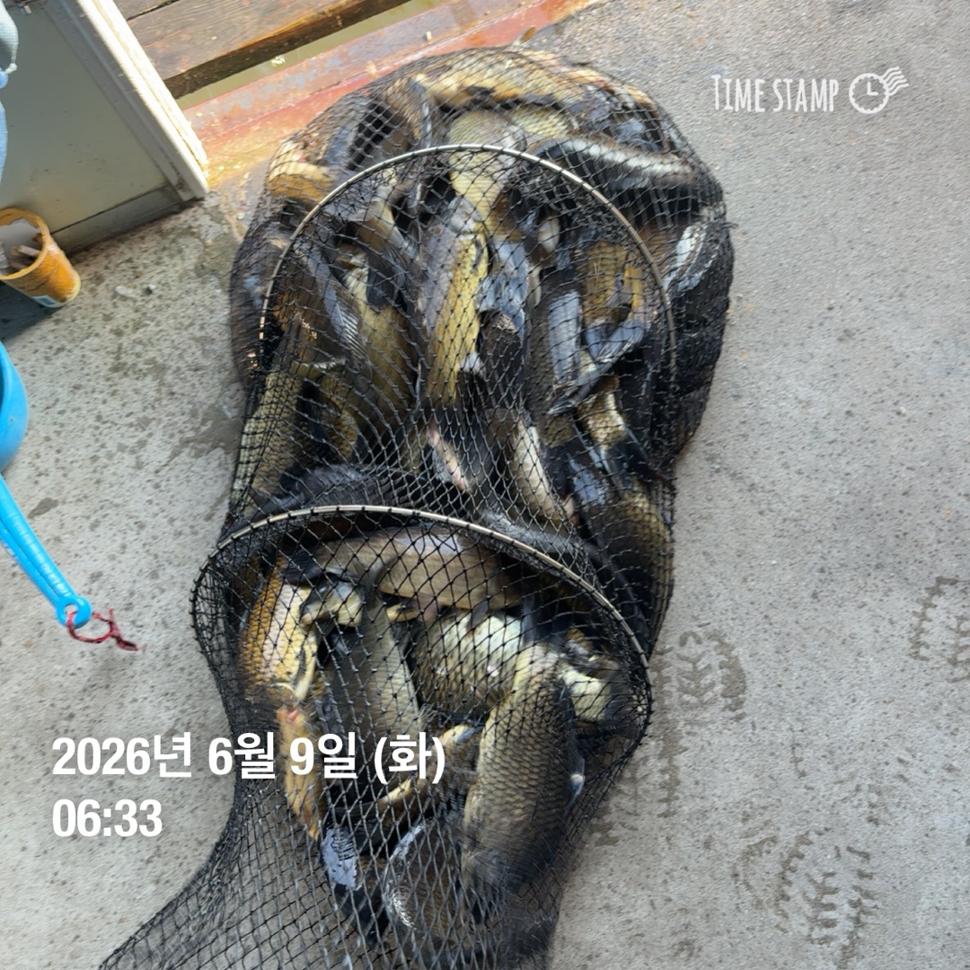 KakaoTalk_20260611_082447009_08.jpg