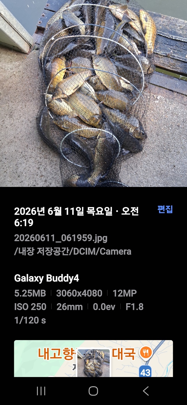 KakaoTalk_20260611_082447009.jpg