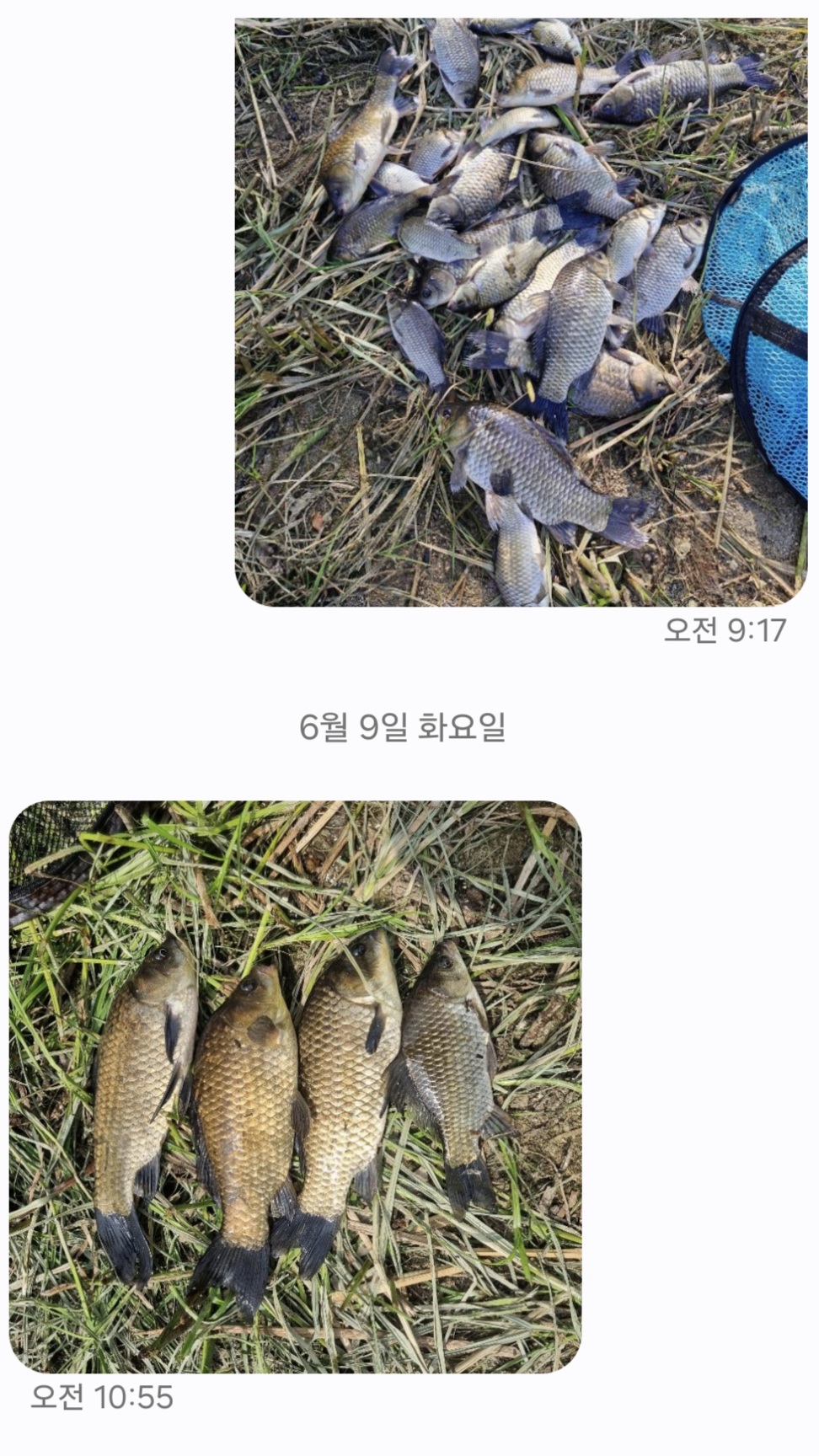 Screenshot_20260609_105741_Messages.jpg