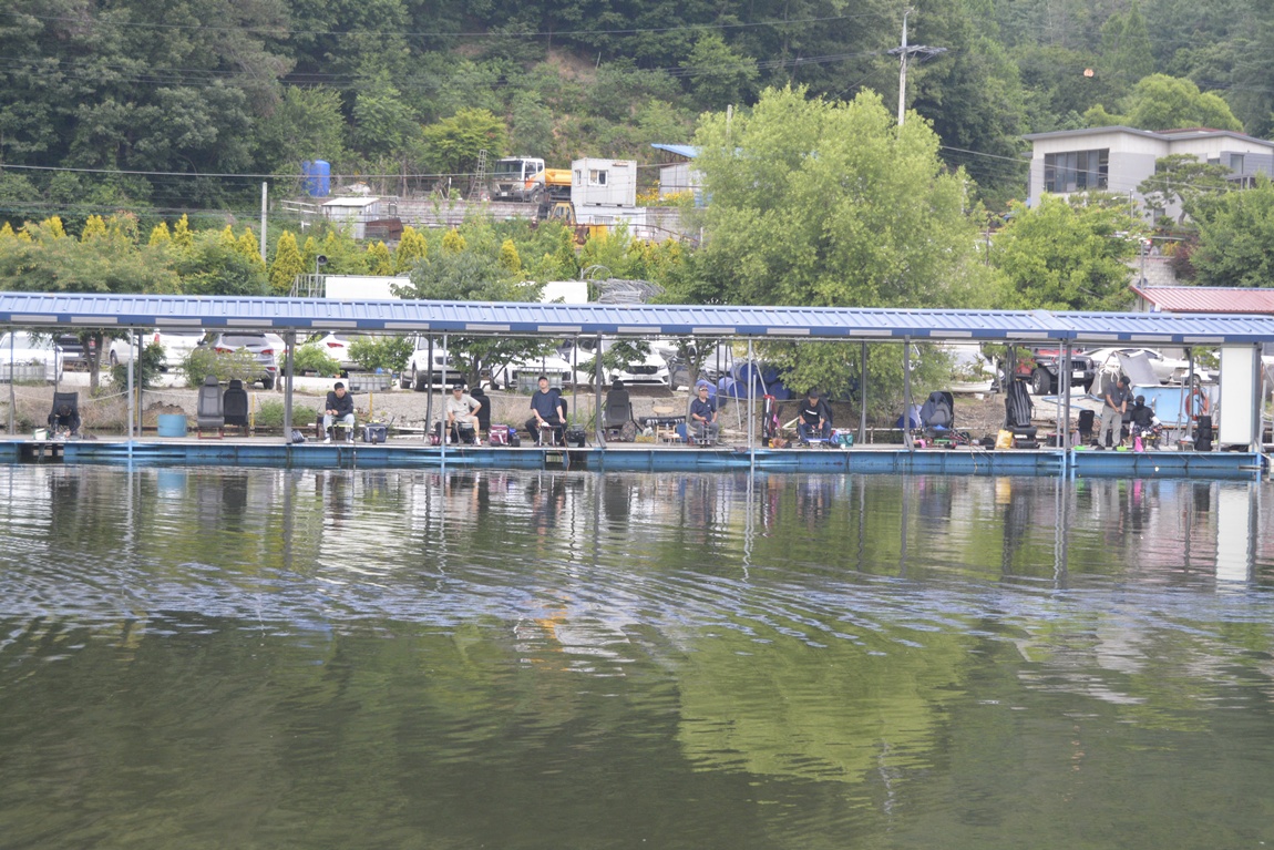 _7104291.JPG