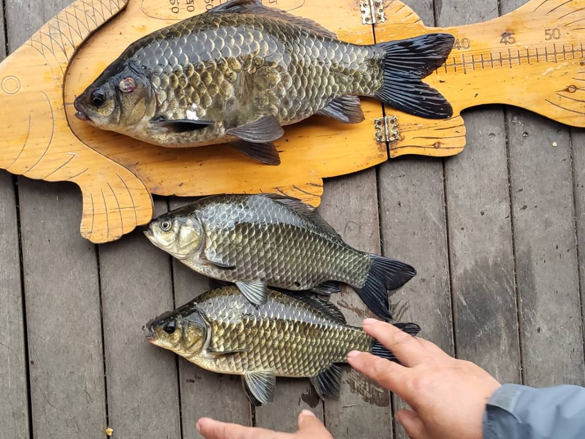 �⸮������_����_20260608_29.jpg