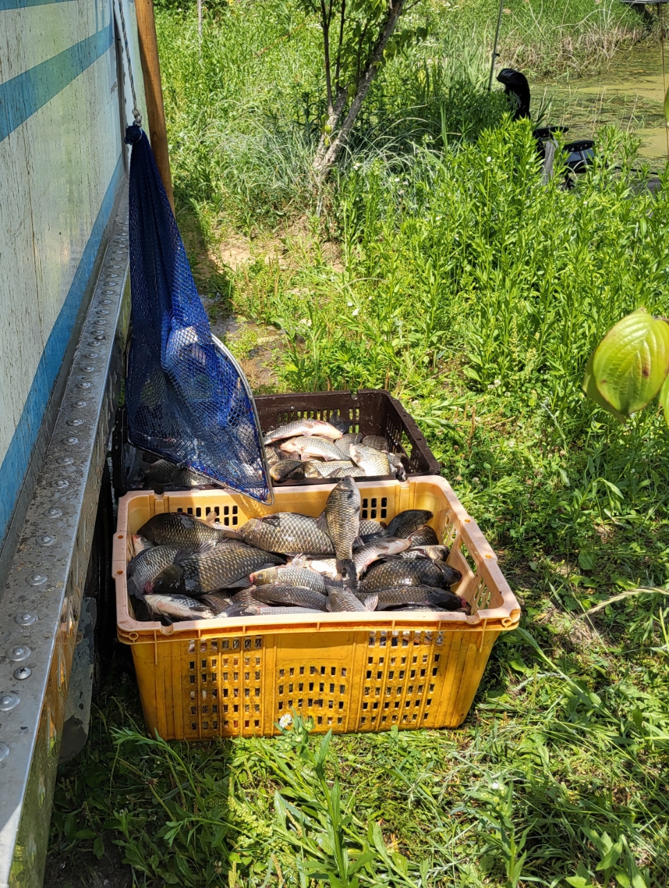 �⸮������_����_20260606_16.jpg