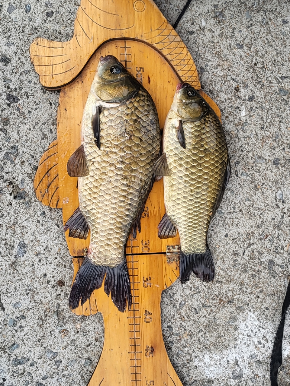 �⸮������_����_20260607_6.jpg