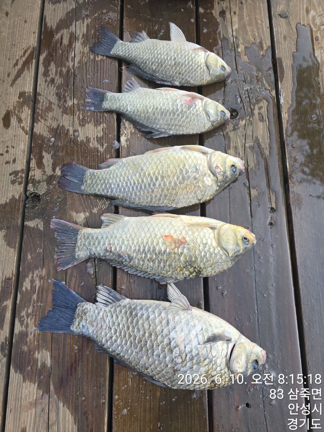 KakaoTalk_20260610_152027815.jpg