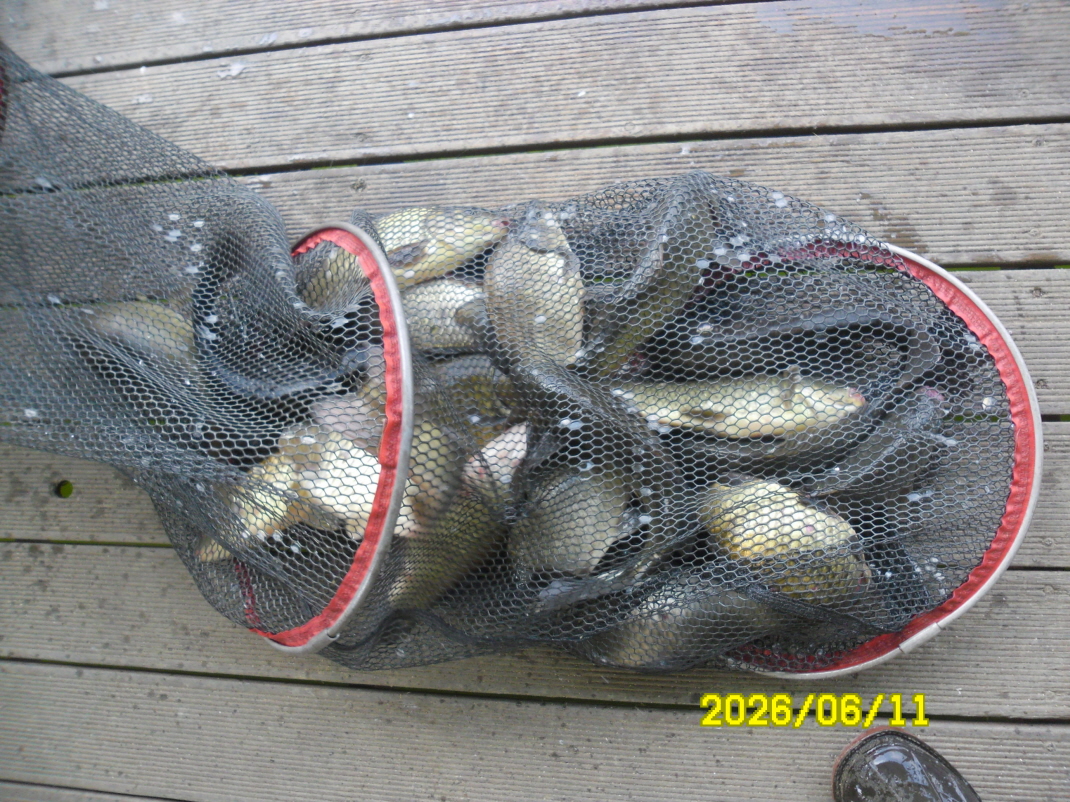 SAM_0420.JPG