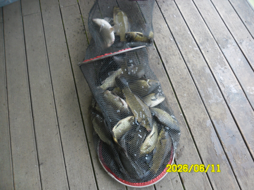 SAM_0421.JPG