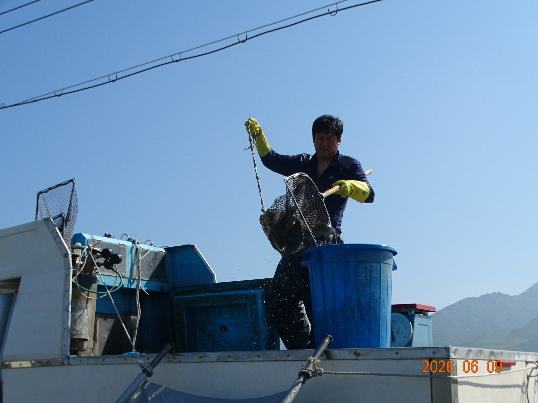 DSC04643.JPG
