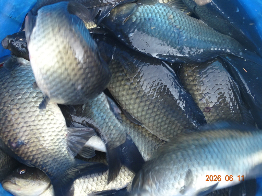 DSC04713.JPG
