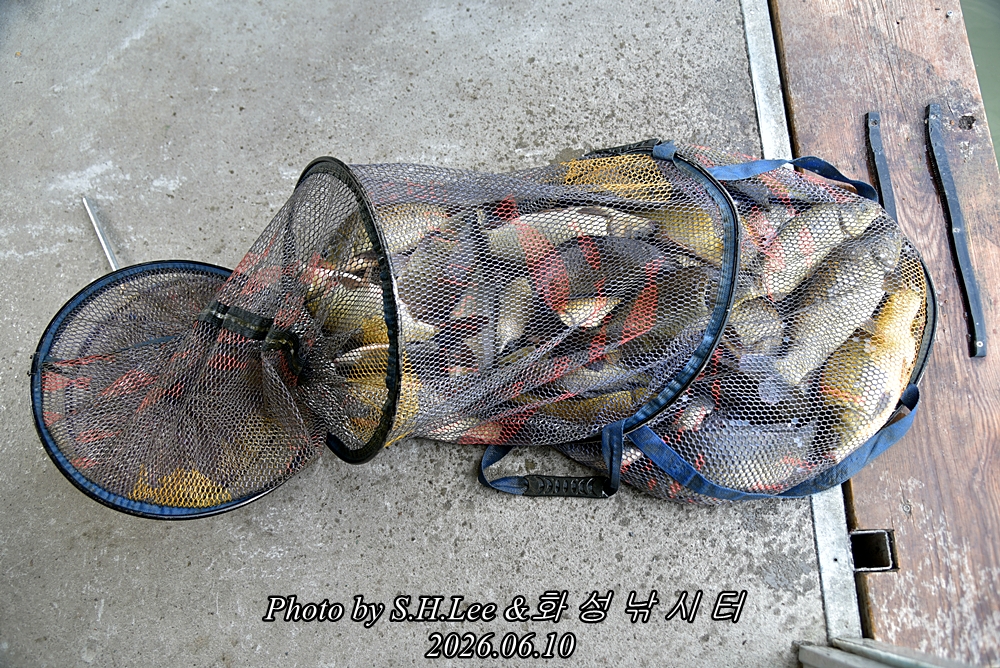 LEE_5167.JPG