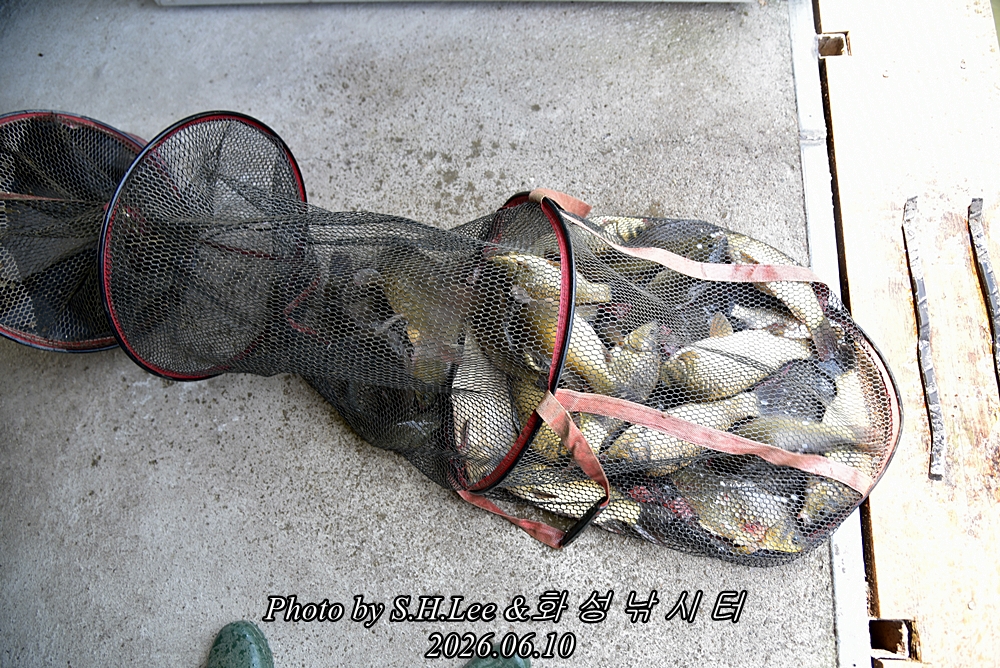 LEE_5179.JPG