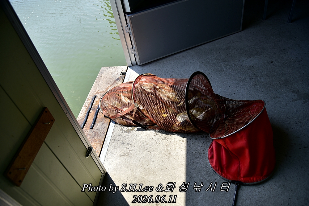 LEE_5190.JPG