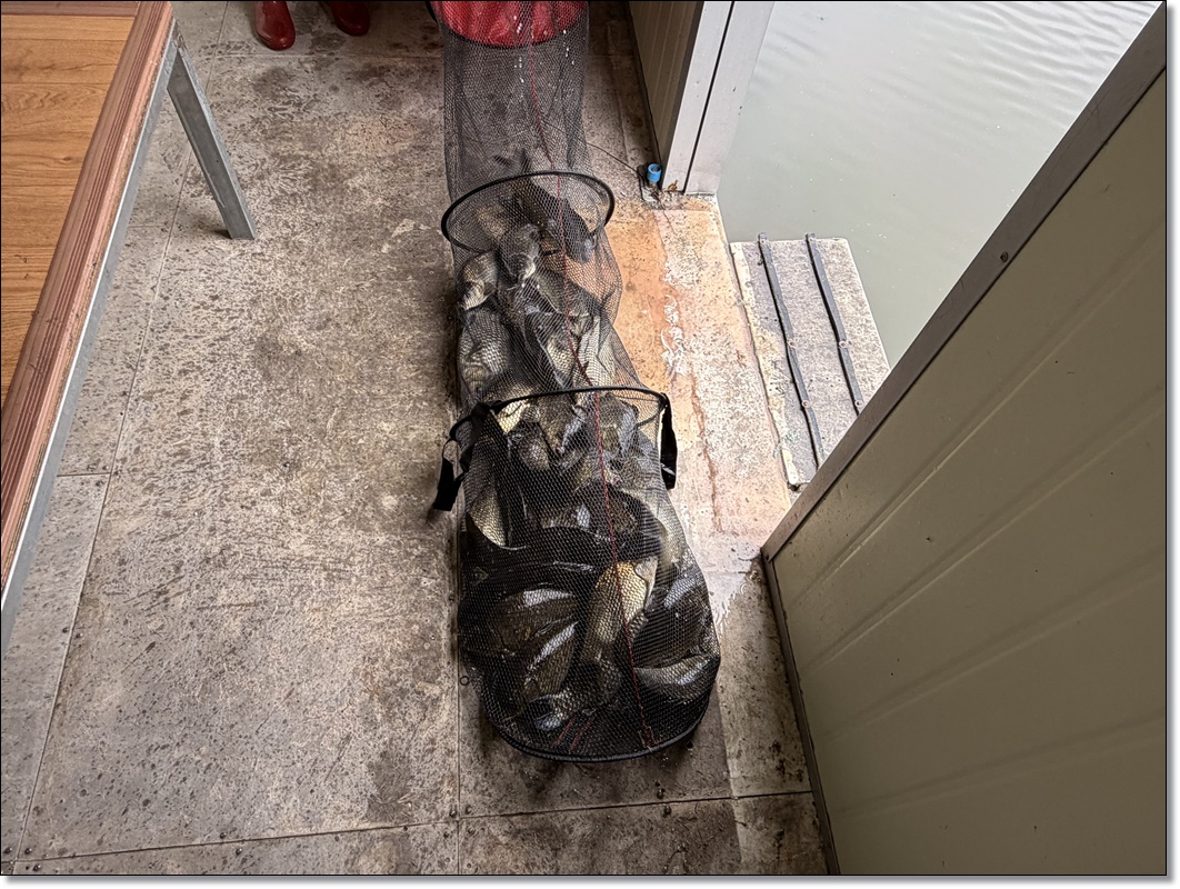 KakaoTalk_20260611_093036653_27 (1).jpg