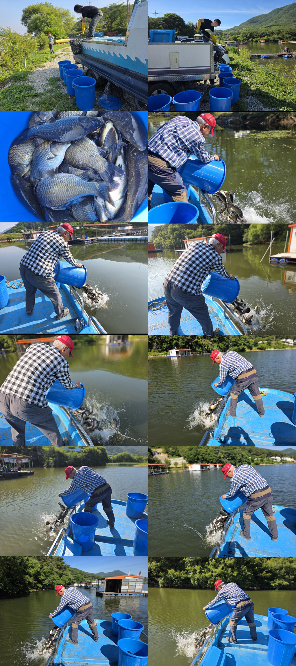 KakaoTalk_20260613_08353521.jpg