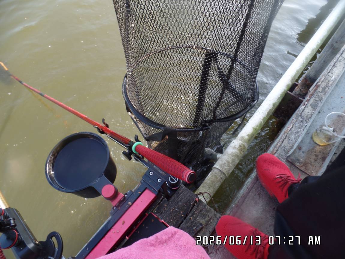 SAM_5272.JPG