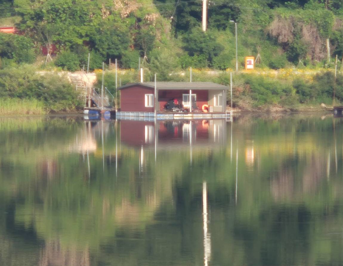 20260613_065331.jpg