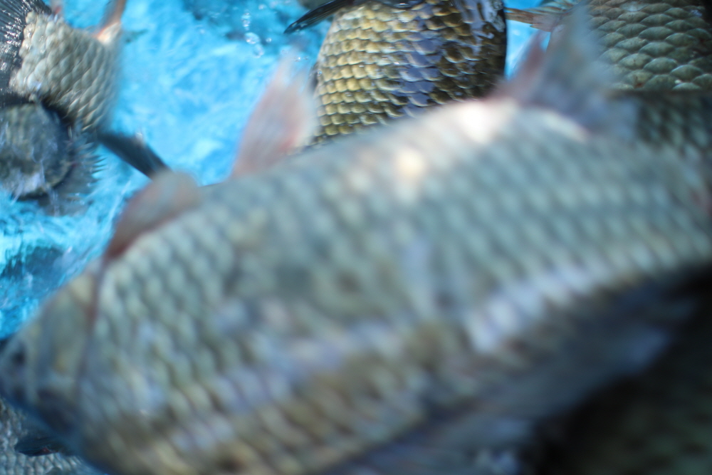 ũ�⺯ȯ_IMG_9003.JPG