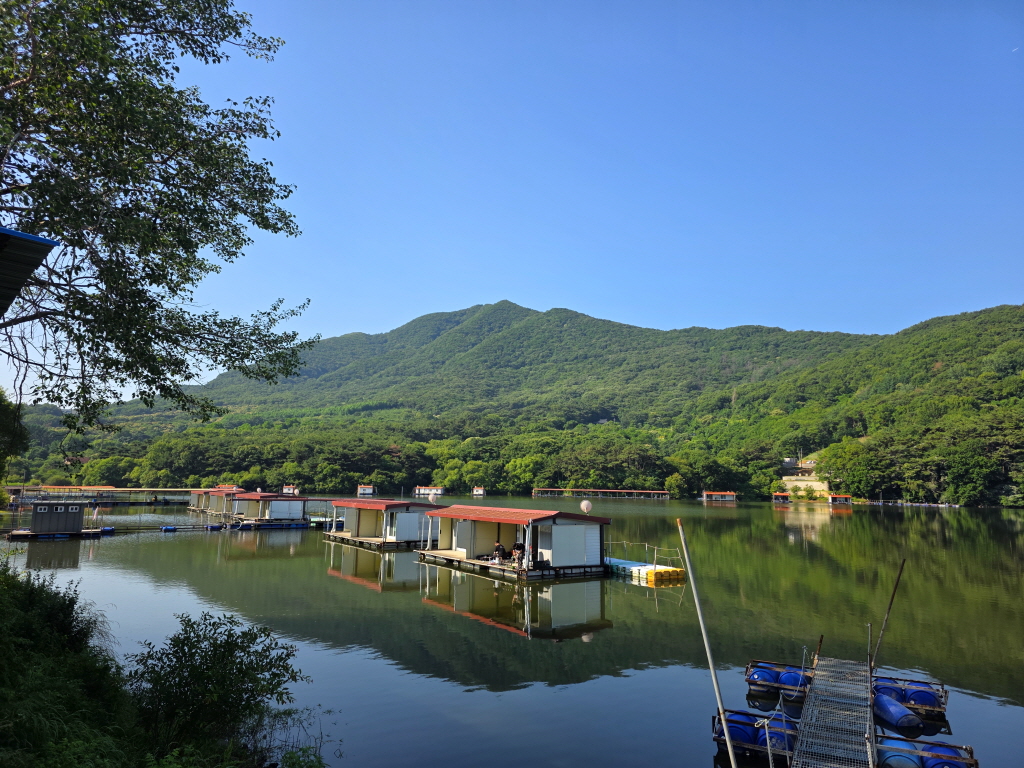 KakaoTalk_20260615_082547155[edit].jpg