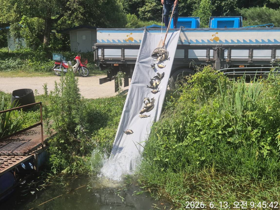 KakaoTalk_20260615_090722764.jpg