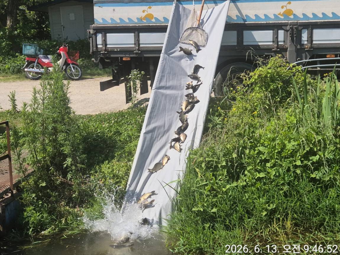 KakaoTalk_20260615_090722764_03.jpg