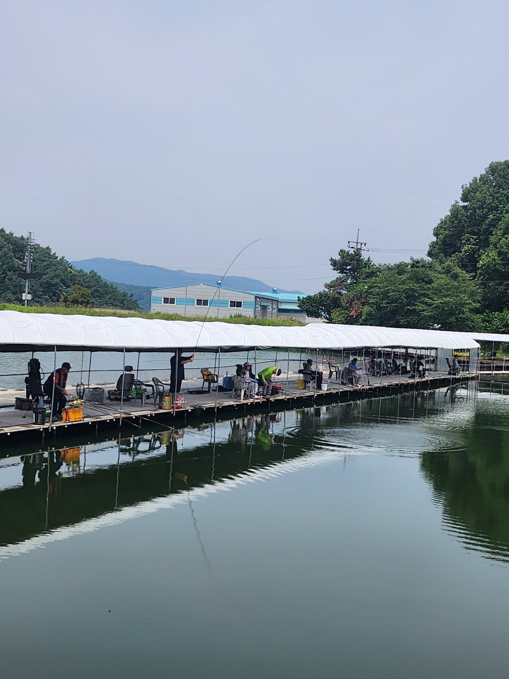KakaoTalk_20260615_091358016_01.jpg
