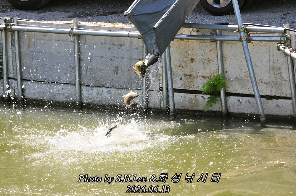 LSH_6011.JPG