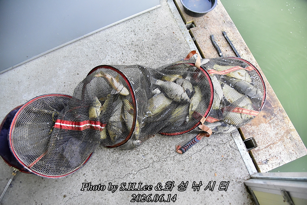 LEE_5241.JPG