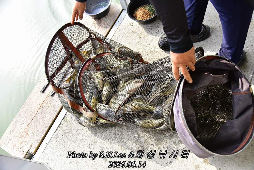 LEE_5248.JPG
