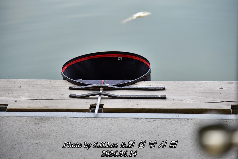 LEE_5270.JPG