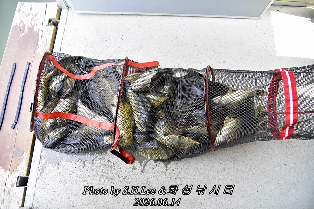 LEE_5273.JPG