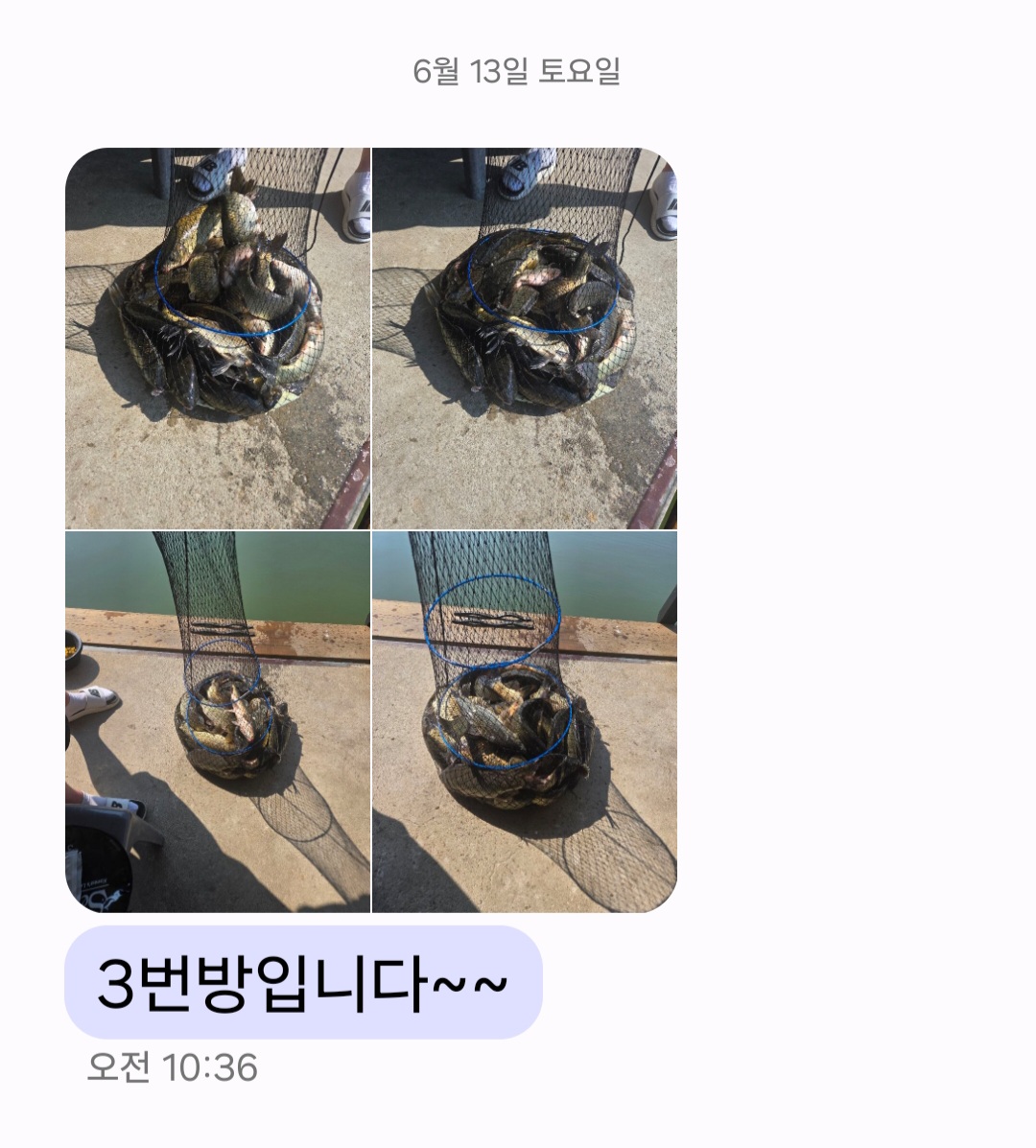 Screenshot_20260613_113053_Messages.jpg
