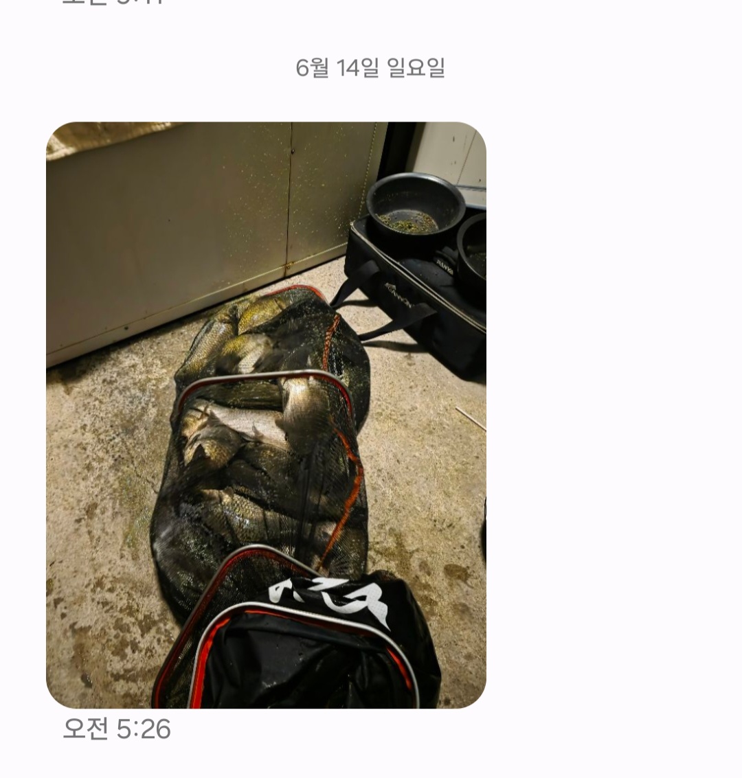 Screenshot_20260614_084109_Messages.jpg