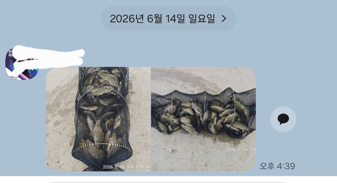 Screenshot_20260615_125048_KakaoTalk.jpg