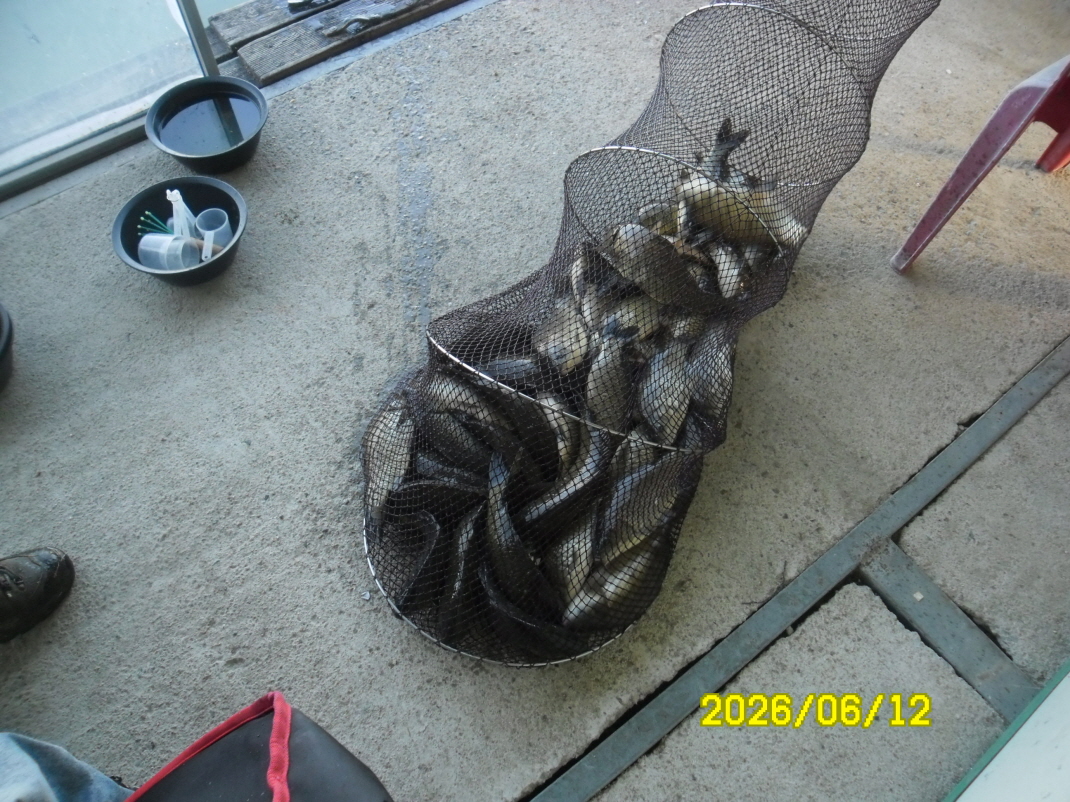 SAM_0455.JPG