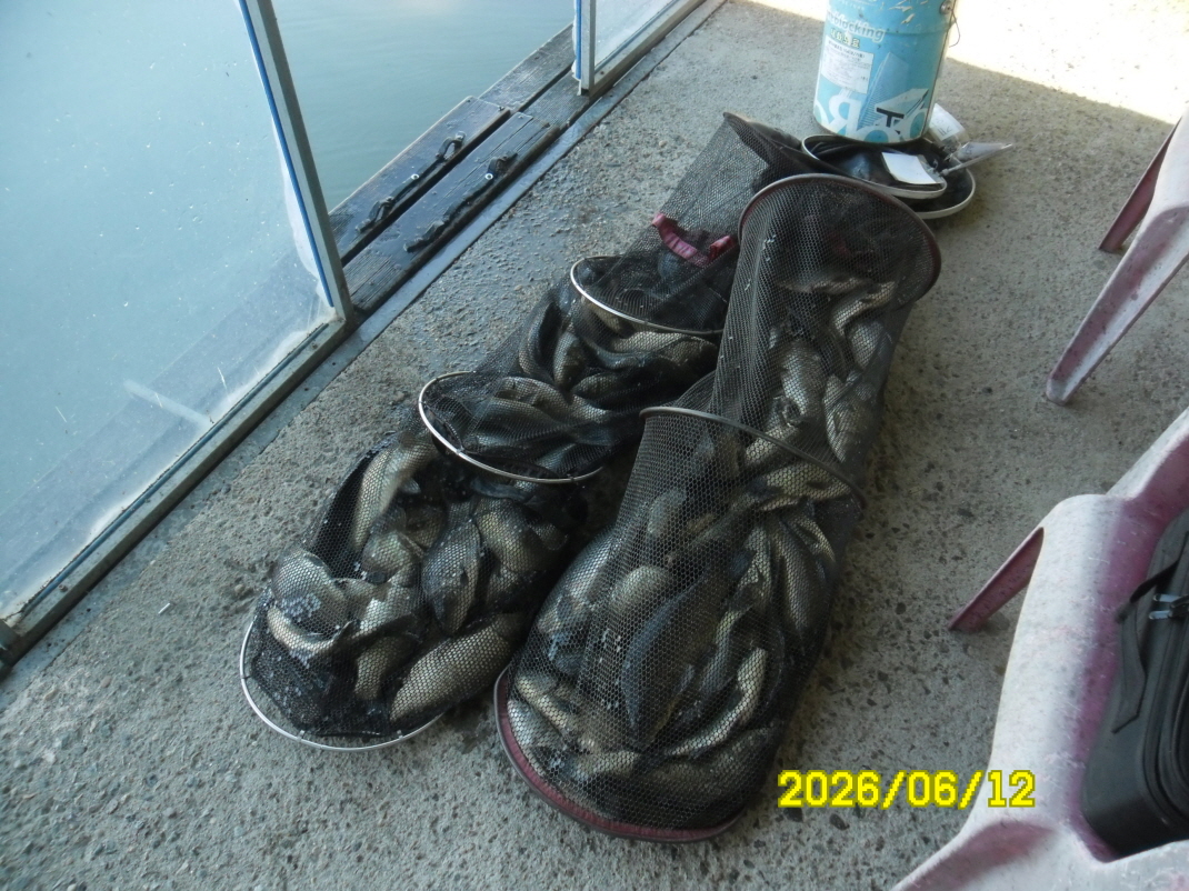 SAM_0458.JPG