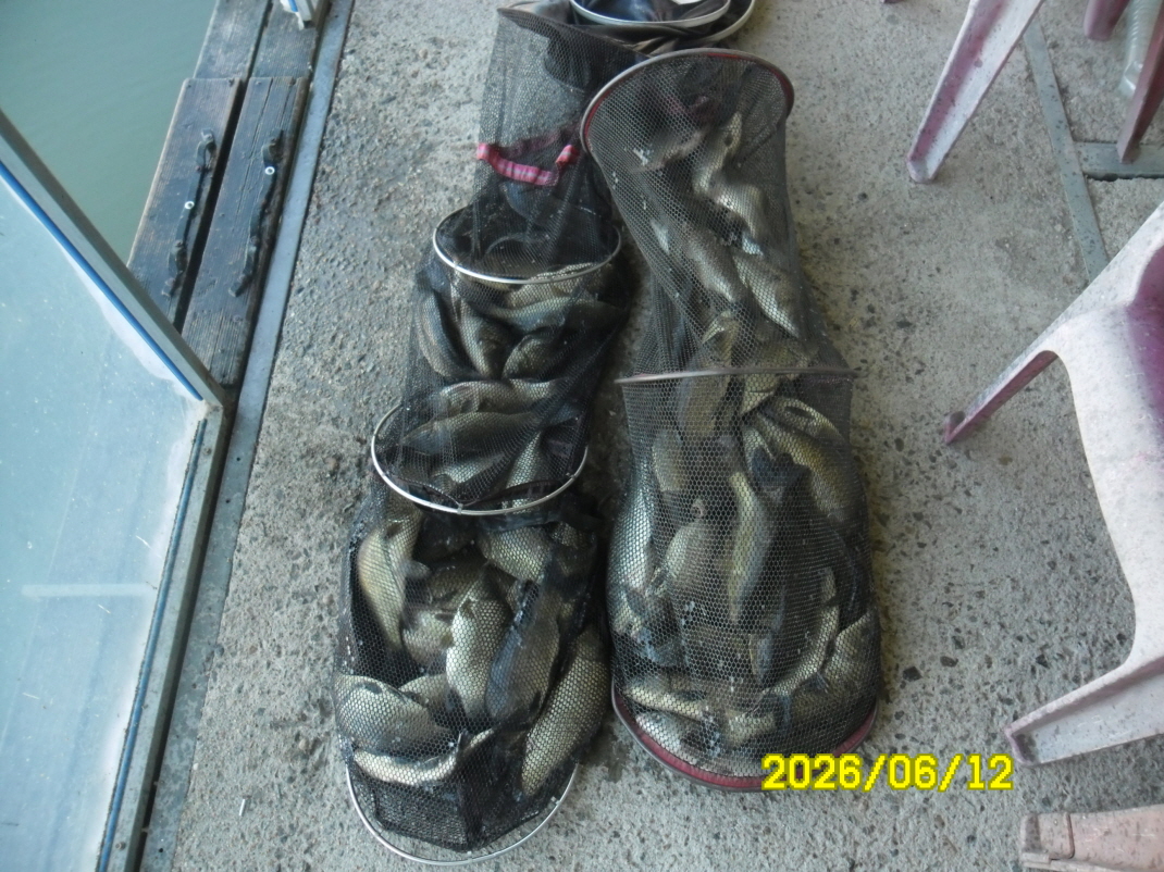 SAM_0459.JPG