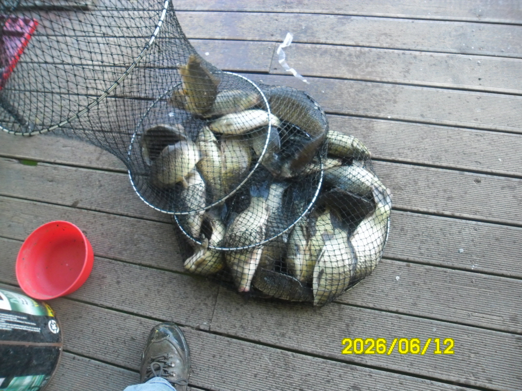 SAM_0476.JPG