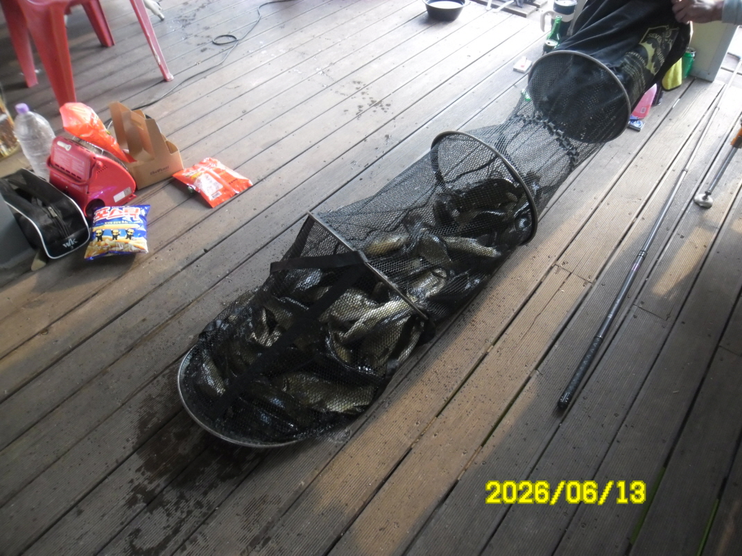 SAM_0499.JPG