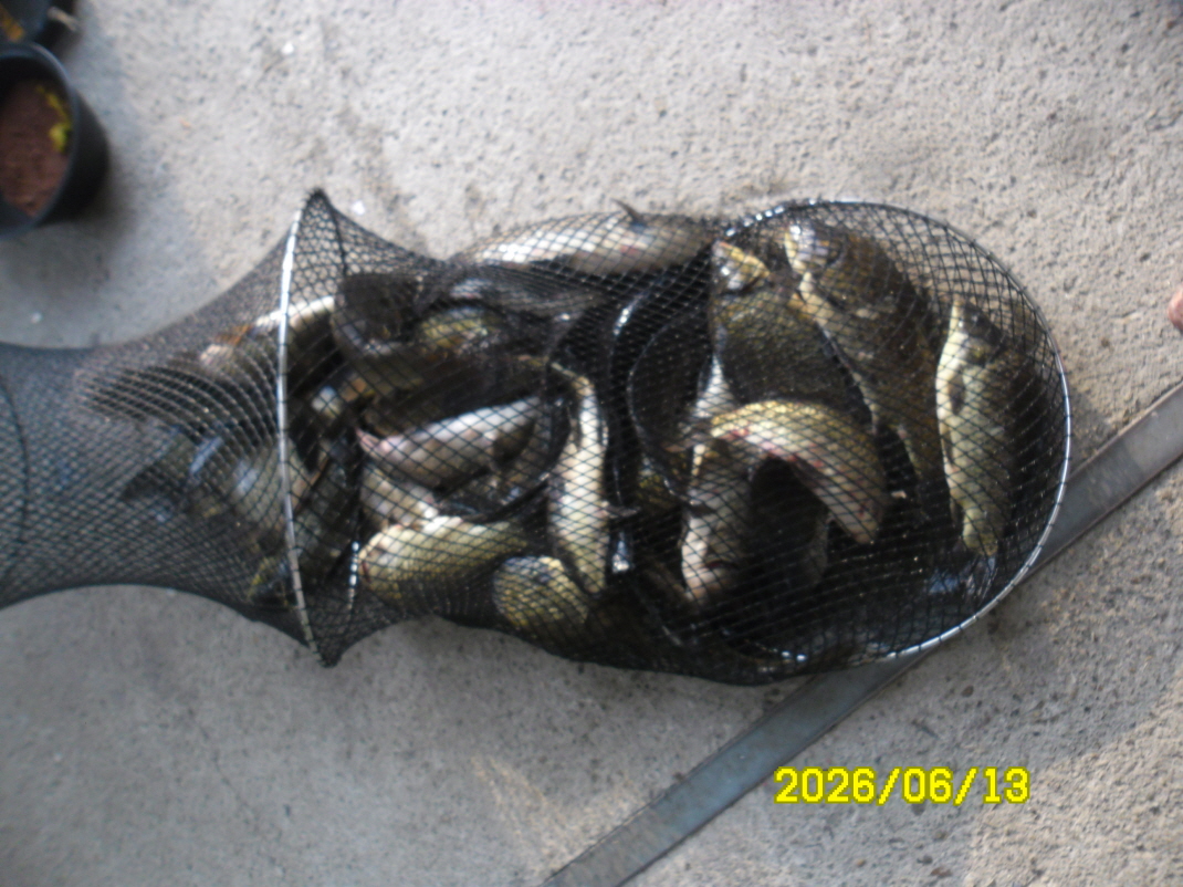 SAM_0507.JPG