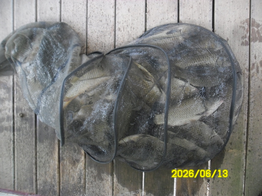 SAM_0510.JPG